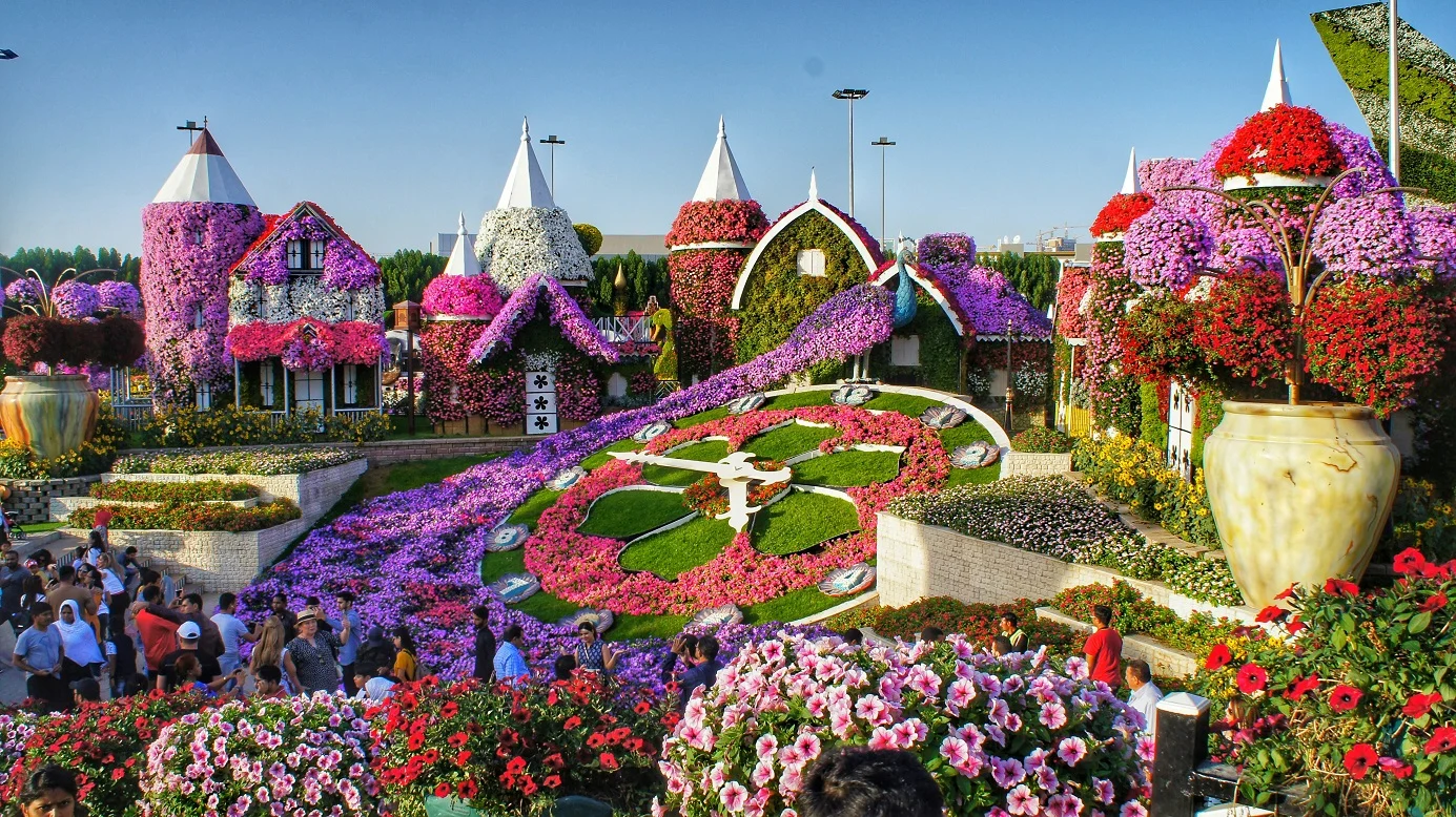 Miracle Garden Dubai Tour Services from India